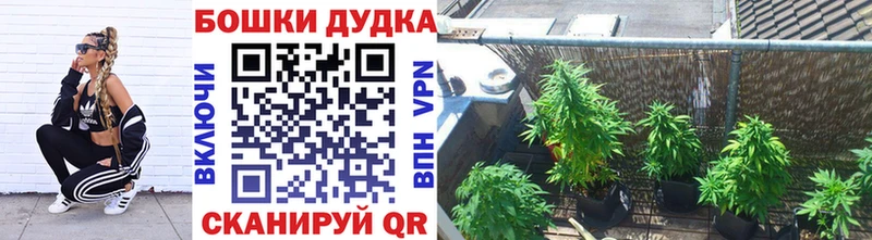 Купить где  Горячий Ключ  Бошки марихуана гибрид 
